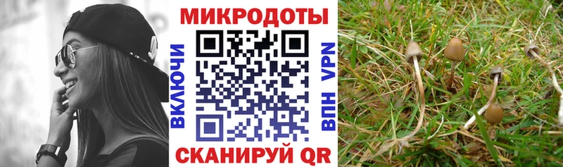 где продают наркотики  Бикин  Псилоцибиновые грибы Psilocybe 