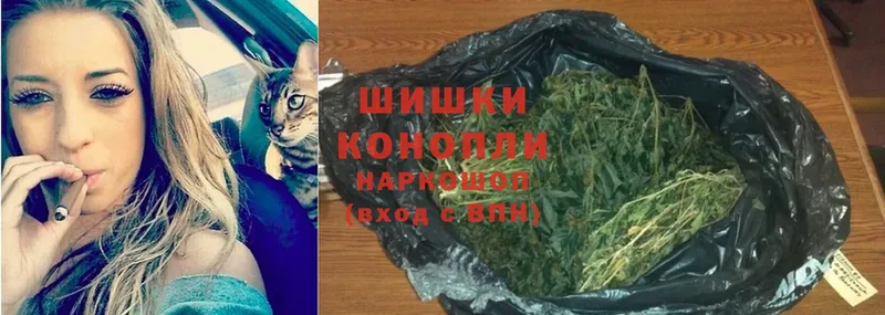 MEGA ССЫЛКА  Бикин  Бошки Шишки OG Kush 